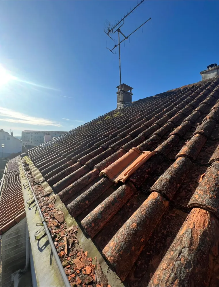 Toiture avant réfection, tuiles moussées et encrassées — Cholet (49)